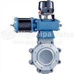 উচ্চ কর্মক্ষমতা বাটারফ্লাই ভালভ LUG
